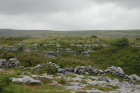 Stone walls and karst pavements and topography of the Burren approx 5km south of Ballyvaughan Co Clare Ireland. Exposures of the Dinantian Burren Limestone Formation are composed of shallow water carbonates. Note the clints (limestone blocks) and grikes (joints formed by Variscan folding (Coller, 1984) and fracturing) enlarged by Pleistocene disolution (Williams, 1966).